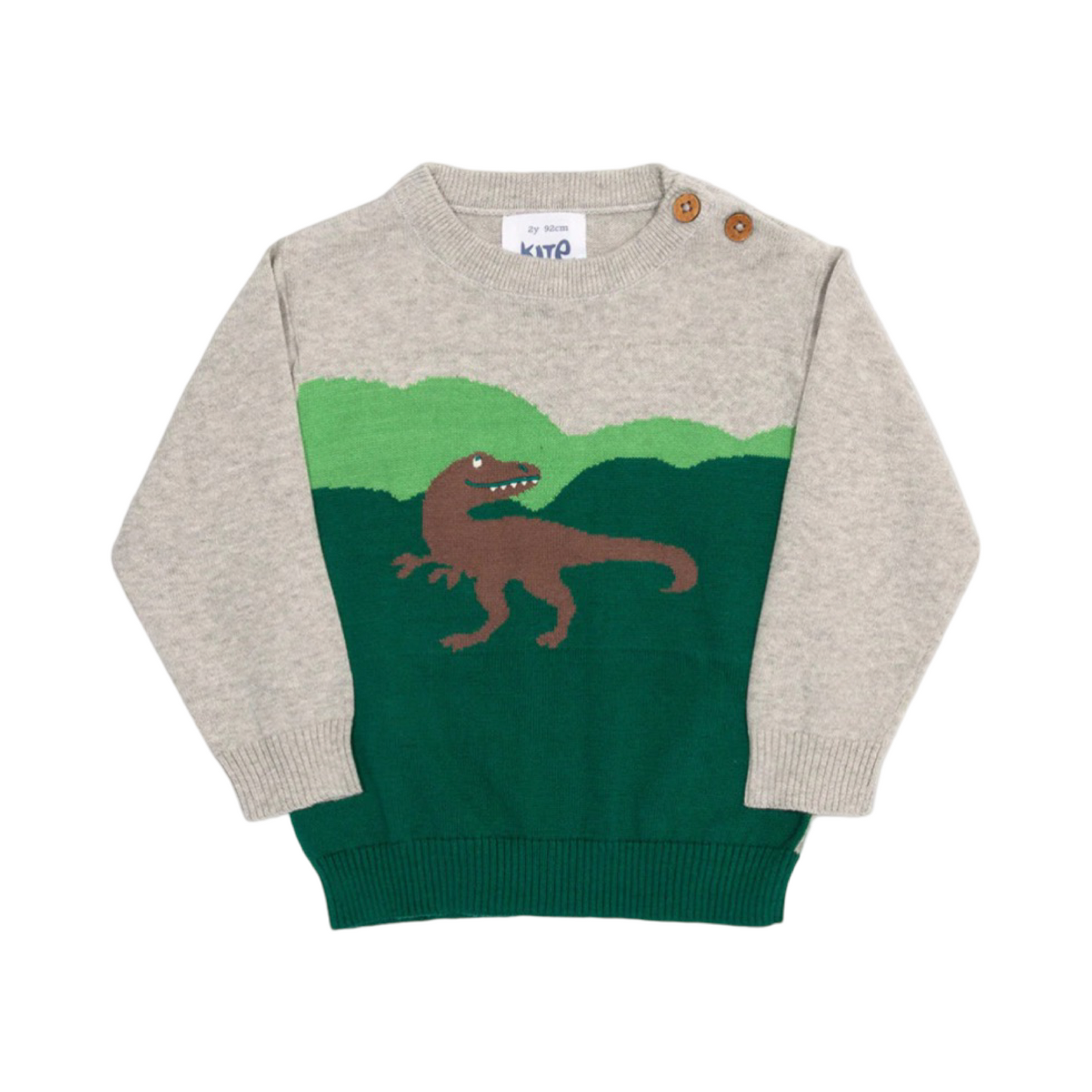 Dino Pullover