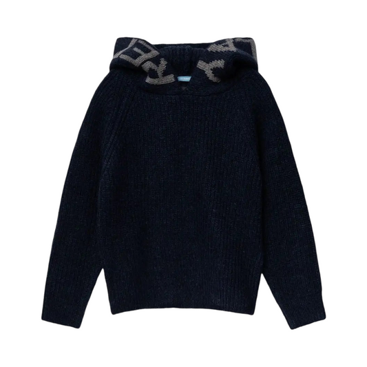 Replay Pullover mit Logo-Kapuze